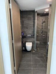 Affinity At Serangoon (D19), Apartment #538039411